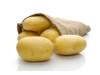 Ziemniaki sadzeniaki Natascha