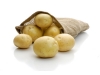 Ziemniaki Satina